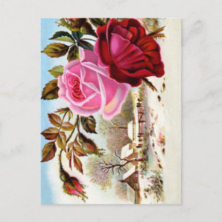 Winter Scene and Flowers Postcard