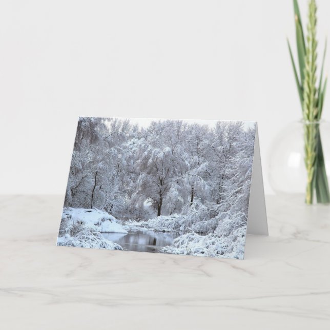 winter scene Blank Photo Greeting Cards (Front)