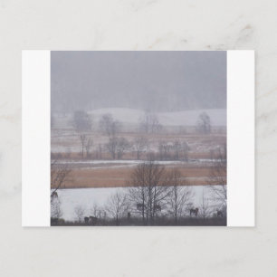 Winter Scene Cades Cove Great Smoky Mountains Postcard