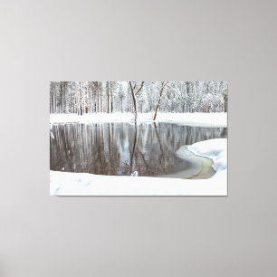 Winter Scene Canvas Print