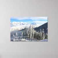 Winter Scene