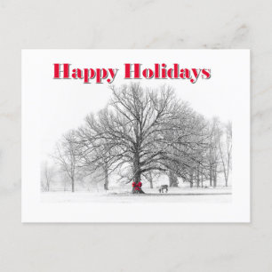 Winter Scene Holiday Card Red Bow  (Postcard)