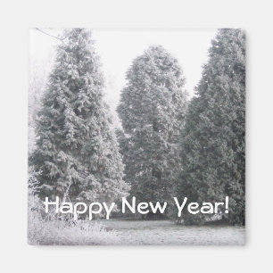 Winter scene magnet