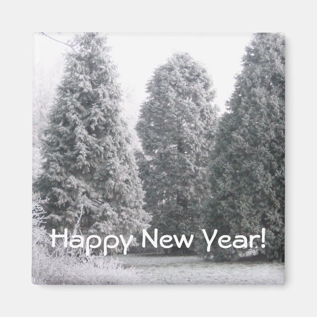 Winter scene magnet (Front)