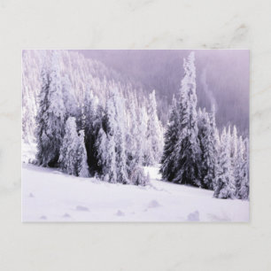 Winter scene postcard