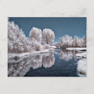 Winter scene postcard