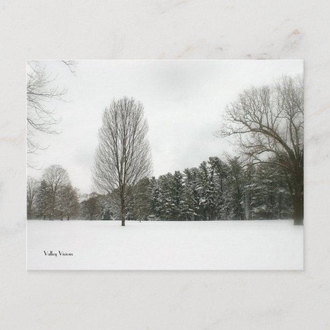 Winter Scene Postcard (Front)