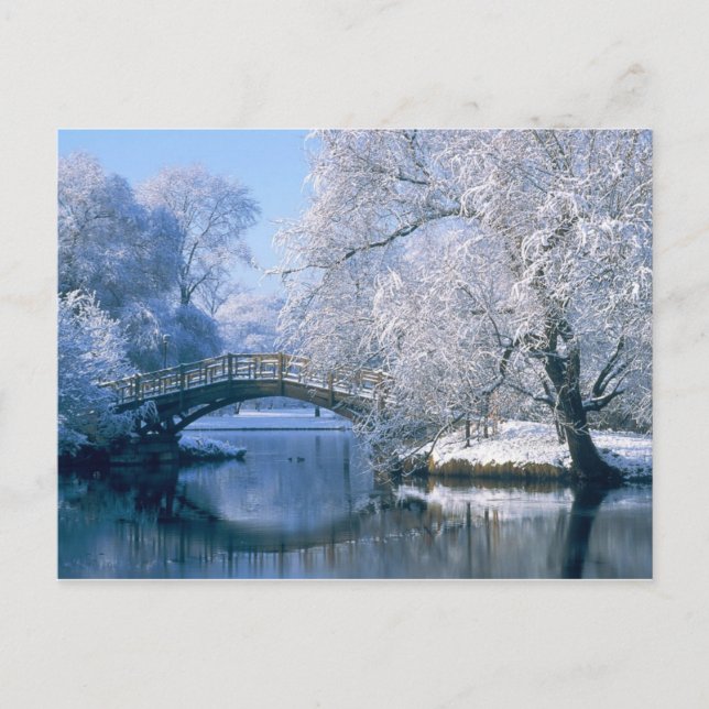 Winter scene postcard (Front)