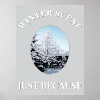 winter scene Poster