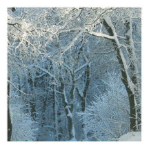 Winter Scene Winter Wonderland Snowy Background 