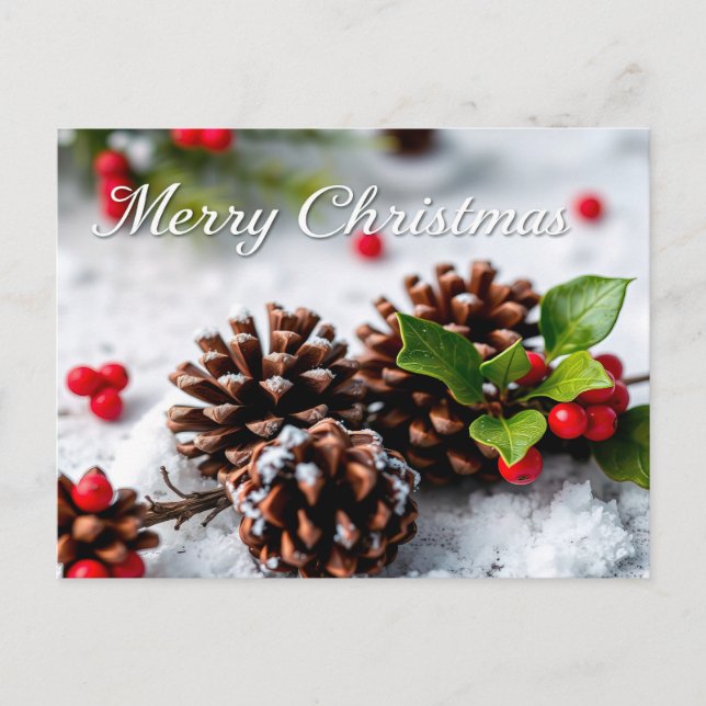 Winter Scene with Pine Cones Merry Christmas  Postcard (Front)