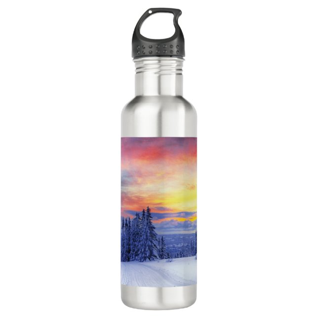 Winter scenery 710 ml water bottle (Front)