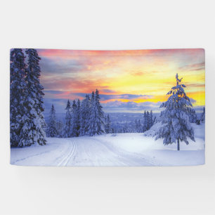 Winter scenery  banner