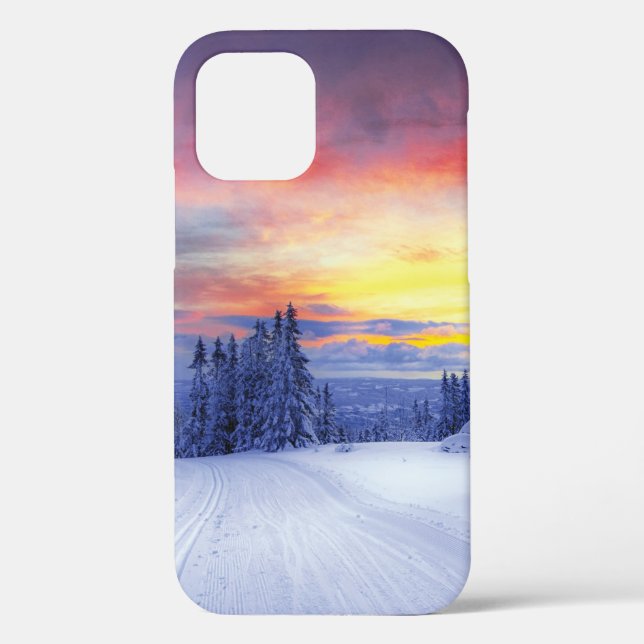 Winter scenery  Case-Mate iPhone case (Back)