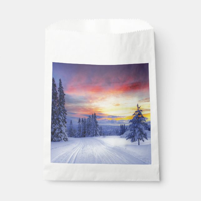 Winter scenery favour bags (Front)