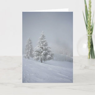 Winter Scenery Holiday Card