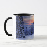Winter scenery