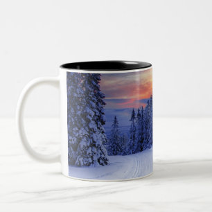 Winter scenery Two-Tone coffee mug