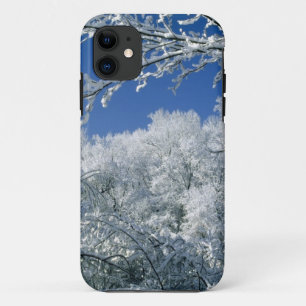 winter-scenes-48 iPhone 11 case