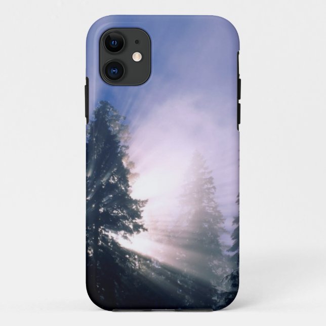 winter-scenes-59 Case-Mate iPhone case (Back)