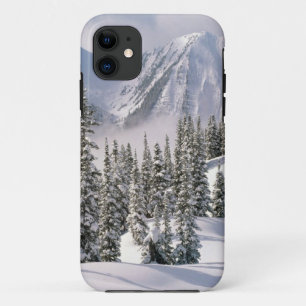 winter-scenes-66 iPhone 11 case