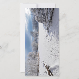 winter scenic along pond and forests of salem hill