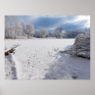 winter scenic along pond and forests of salem hill poster