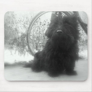 Winter Scottish Terrier Mouse Mat