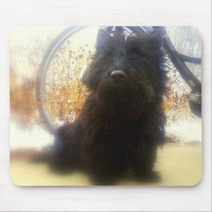 Winter Scottish Terrier Mouse Mat