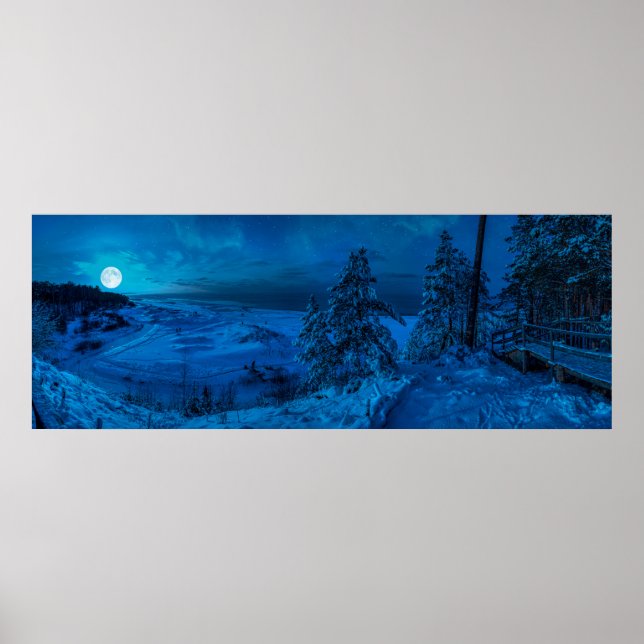 Winter sea coast in moonlight poster (Front)