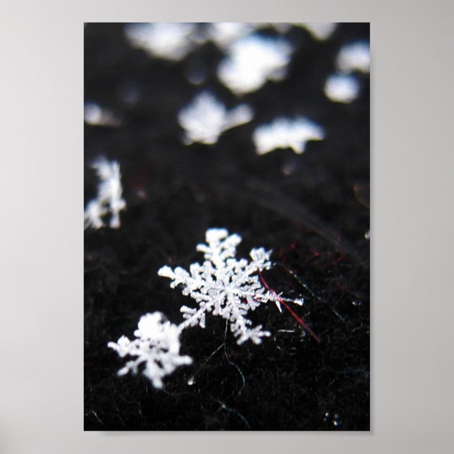 Winter Shape Poster (Front)