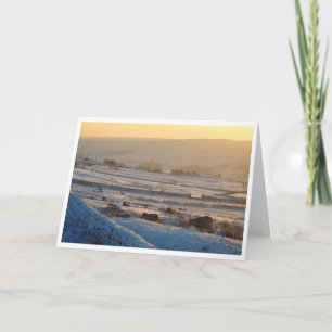 Winter sheep Christmas Card