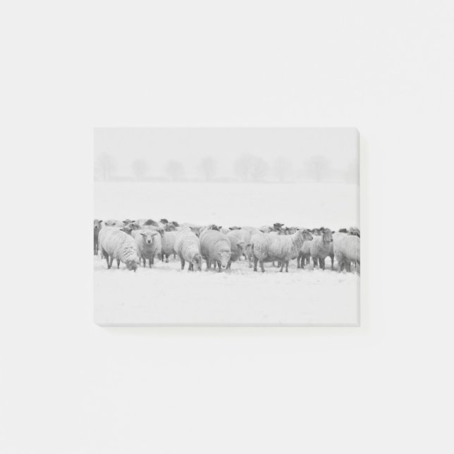 Winter sheep flock post-it notes (Front)