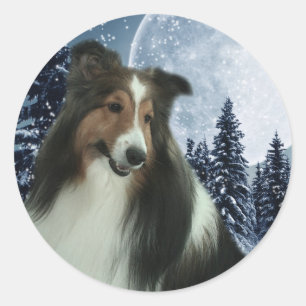 Winter Sheltie Sticker