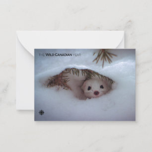Winter - Short-Tailed Weasel Card