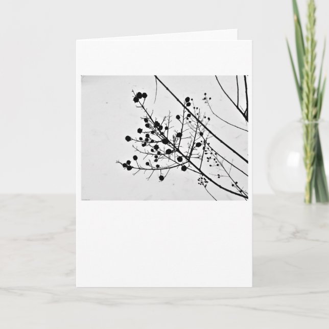 Winter Silhouette, card (Front)
