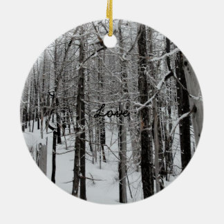 Winter Ski/Love Christmas Ornament