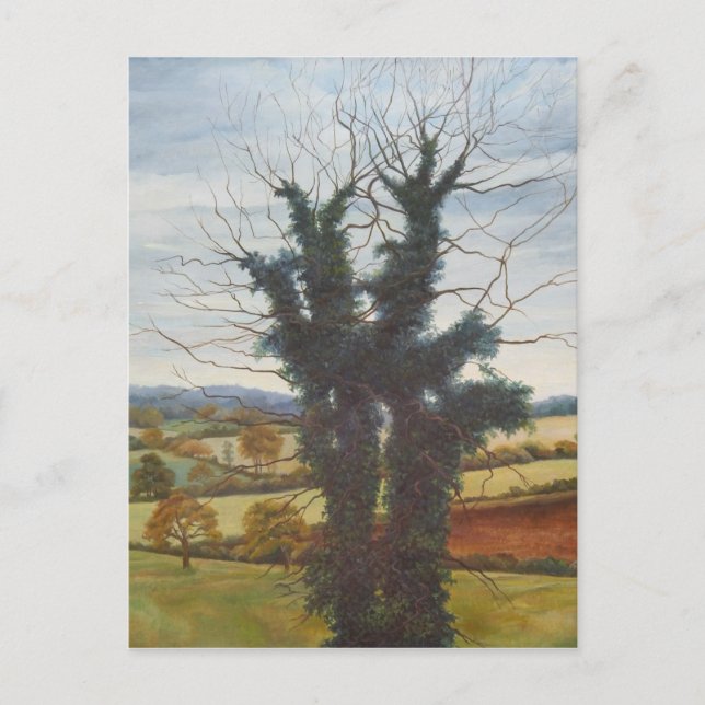 Winter Sky 1998 Postcard (Front)
