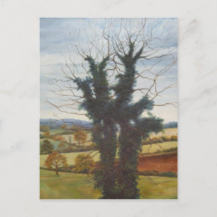 Winter Sky 1998 Postcard