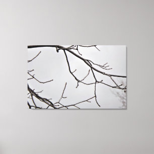 Winter Sky Canvas Art Print