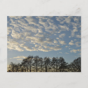 Winter Sky Postcard
