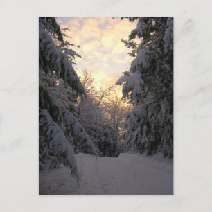 Winter Sky Postcard