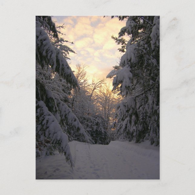 Winter Sky Postcard (Front)