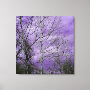Winter sky with bare trees canvas print