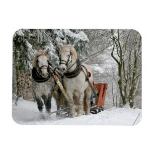 Winter Sleigh Ride Colour Image Magnet