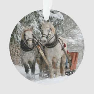 Winter Sleigh Ride Colour Image Ornament