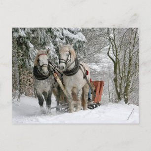 Winter Sleigh Ride Colour Image Postcard