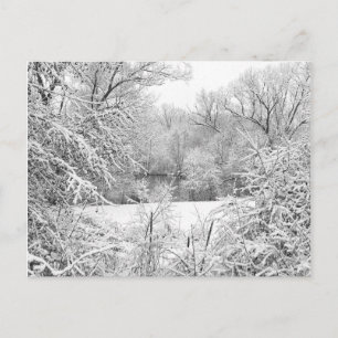 Winter Snow At Huron River Postcard