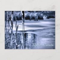 Winter Snow Blue Ice Water Ripples Cattails