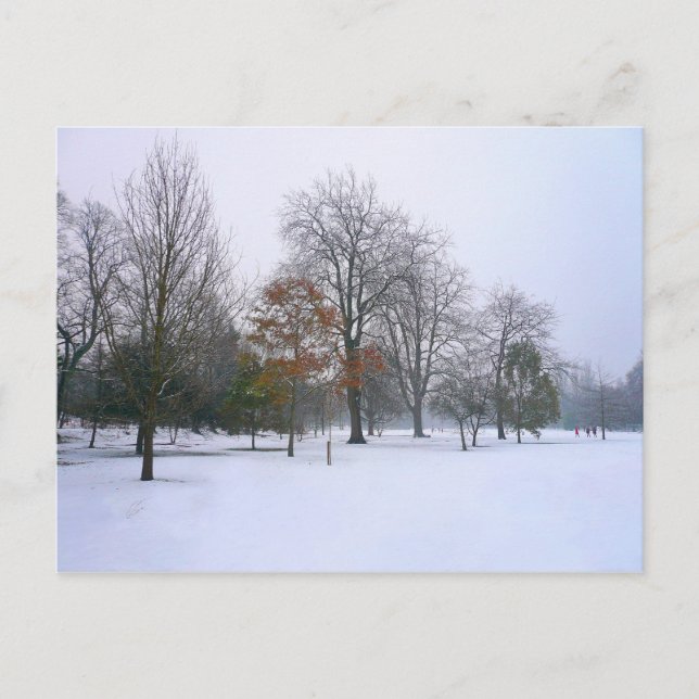 Winter Snow, Bute Park, Cardiff, Wales Postcard (Front)